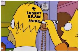 Brain insert