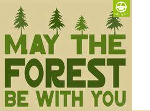 May the forest