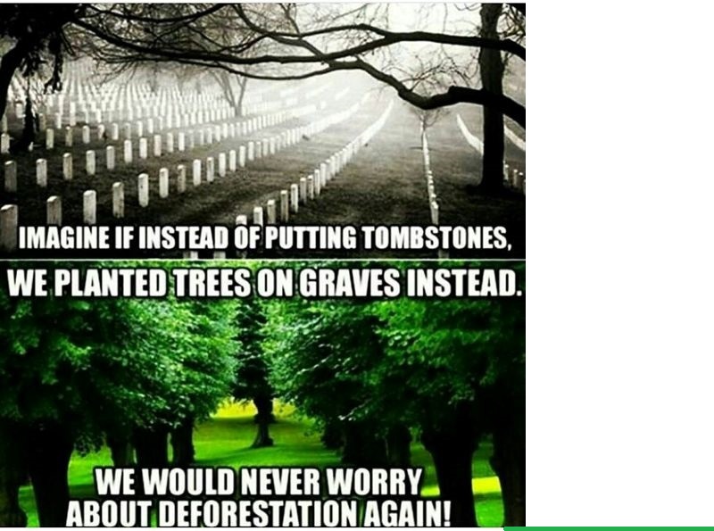 Trees 4 graves