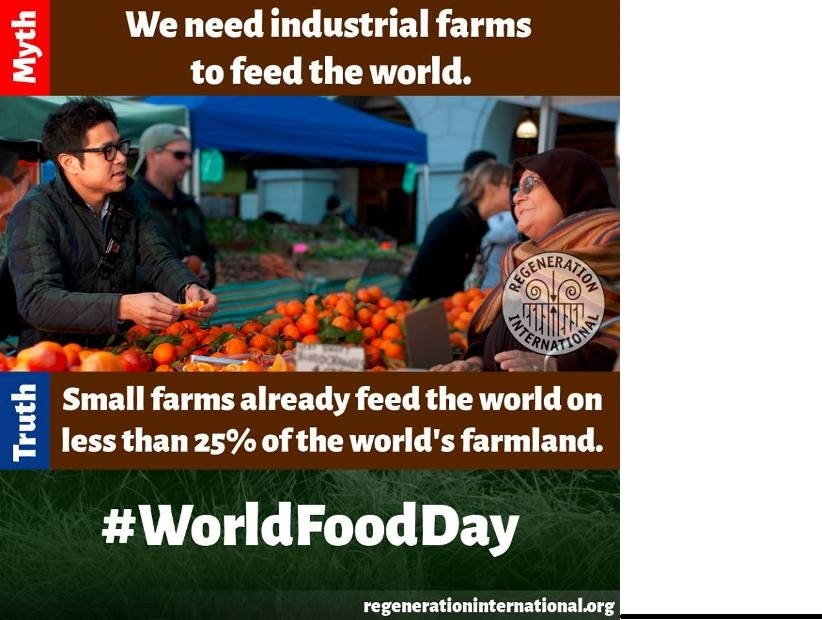 Small farms feed the world