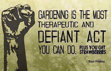 Gardening defiant act