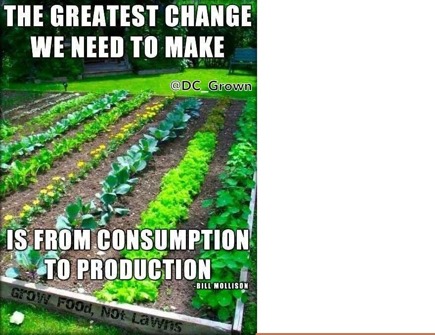 Consumption to production