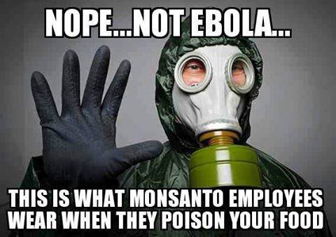 Monsanto ebola