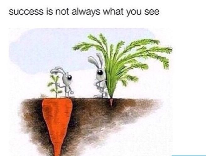 Succes what you see