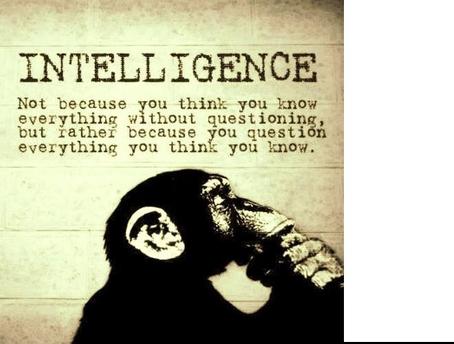 Intelligence think