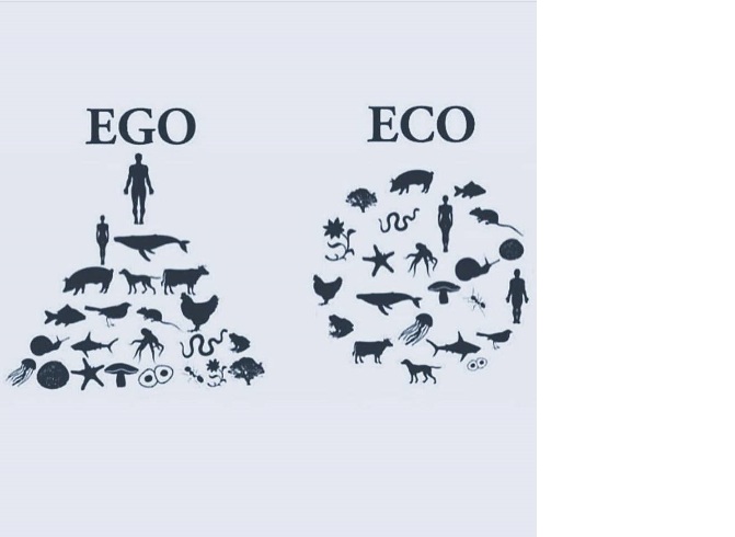 Ego eco