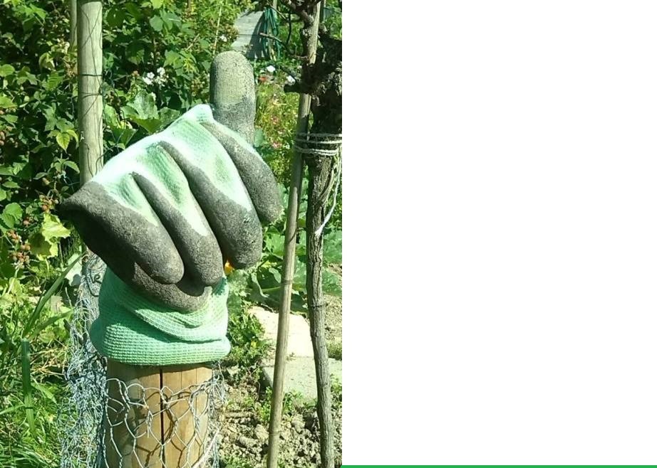 Thumb up glove